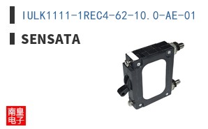 IULK1111-1REC4-62-10.0-AE-01