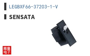 LEGBXF66-37203-1-V