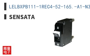 LELBXPB111-1REC4-52-165.-A1-N3