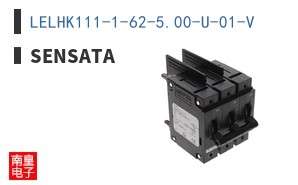 LELHK111-1-62-5.00-U-01-V