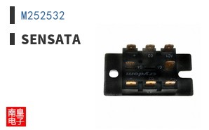 M252532