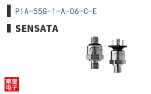 P1A-55G-1-A-06-C-E