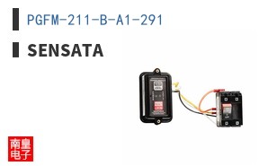 PGFM-211-B-A1-291