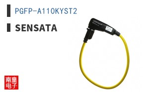 PGFP-A110KYST2