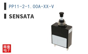PP11-2-1.00A-XX-V