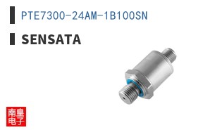 PTE7300-24AM-1B100SN