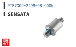 PTE7300-24DM-0B100SN