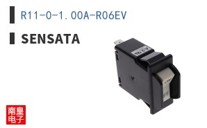 R11-0-1.00A-R06EV