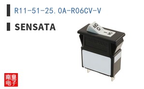 R11-51-25.0A-R06CV-V