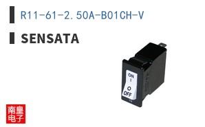 R11-61-2.50A-B01CH-V