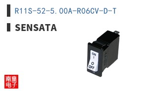 R11S-52-5.00A-R06CV-D-T