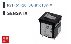 R21-61-20.0A-B161CV-V