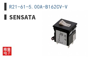 R21-61-5.00A-B162CV-V