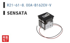 R21-61-8.00A-B162CV-V