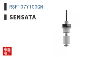 RSF107Y100GN