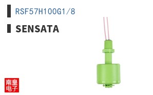 RSF57H100G1/8