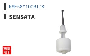 RSF58Y100R1/8