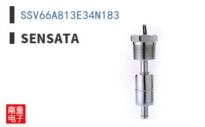 SSV66A813E34N183
