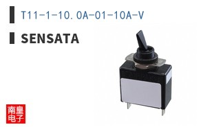 T11-1-10.0A-01-10A-V