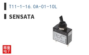 T11-1-16.0A-01-10L