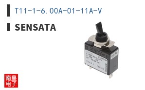 T11-1-6.00A-01-11A-V