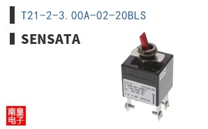 T21-2-3.00A-02-20BLS