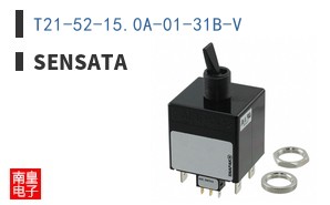 T21-52-15.0A-01-31B-V