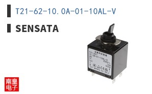 T21-62-10.0A-01-10AL-V