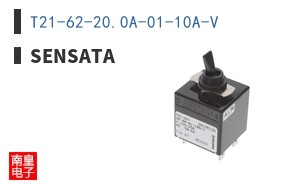 T21-62-20.0A-01-10A-V