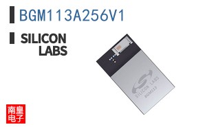 BGM113A256V1