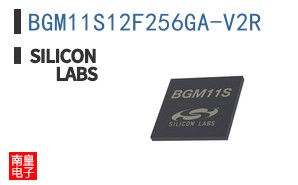 BGM11S12F256GA-V2R