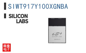 SIWT917Y100XGNBA