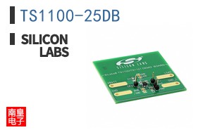 TS1100-25DB