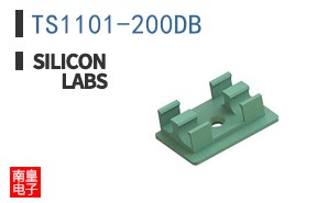 TS1101-200DB