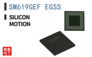 SM619GEF EGSS