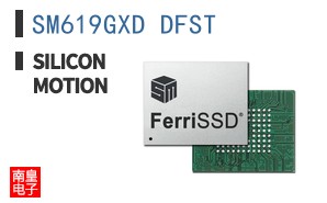 SM619GXD DFST