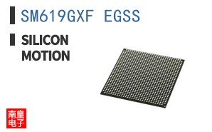 SM619GXF EGSS