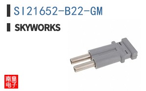 SI21652-B22-GM