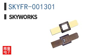SKYFR-001301
