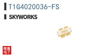 T1G4020036-FS