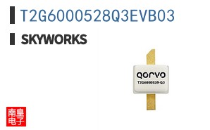 T2G6000528Q3EVB03