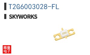T2G6003028-FL