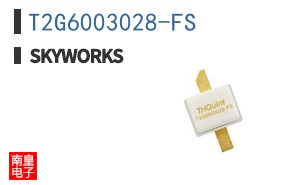 T2G6003028-FS