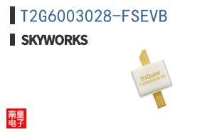 T2G6003028-FSEVB