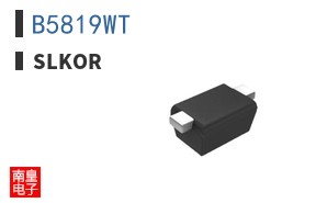 B5819WT