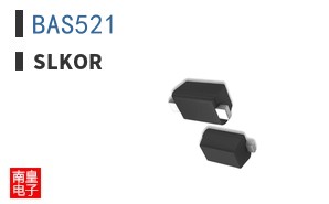 BAS521