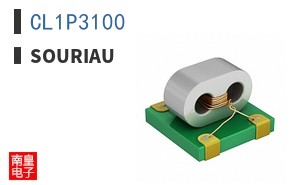 CL1P3100