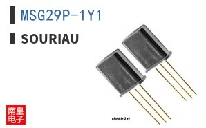 MSG29P-1Y1