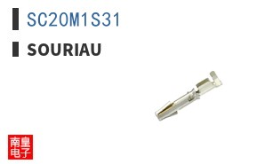 SC20M1S31