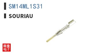 SM14ML1S31